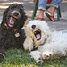 Coby Page Photo 14