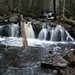 Shirley Brooks Photo 39