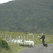 Kerry Shepherd Photo 29