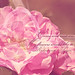 Johnna Rose Photo 23