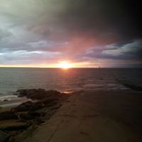 Jill Whitehead Photo 3