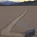 Ann Agnew Photo 21