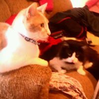 Jennifer Shirey Photo 3