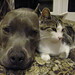 Andrew Nickels Photo 41