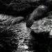 Marcia Rock Photo 23