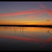 Dawn Moreno Photo 35