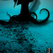 Darrel Sharp Photo 22