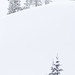 Bryan Fox Photo 47