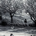 Rene Toledo Photo 28