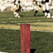 Bobby Starnes Photo 33