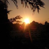 Rita Sayegh Photo 2