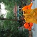 Yan Gong Photo 30