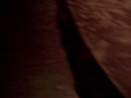 Dominick Cavello Photo 7