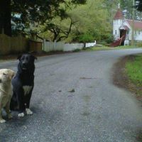 Brenda Cullum Photo 6