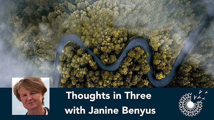 Janine Purvis Photo 8