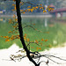 Sang Ho Photo 40