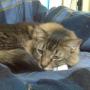 Deborah Gleason Photo 15