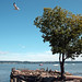 Sunny Hudson Photo 25