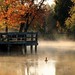 Misty Eaton Photo 35
