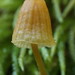 Douglas Baughman Photo 21