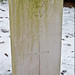 Mary Burkett Photo 40