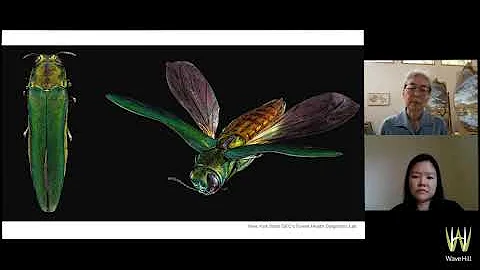 Eileen Borer Photo 5