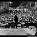 Andrew Franck Photo 28