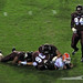 Nick Bell Photo 42