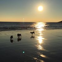 Aimee Baird Photo 5