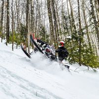 Scott Kees Photo 1