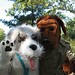 Joan Willoughby Photo 23