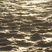 Stephen Humphreys Photo 38