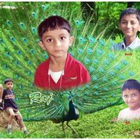Bhavin Patel Photo 7