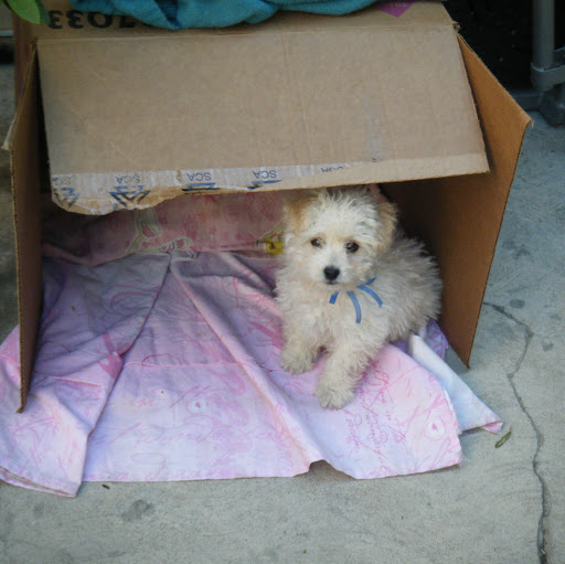Zulema Hernandez Photo 15