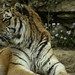 Denise Franchi Photo 25