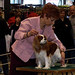 Carol Nickel Photo 27