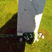 Mark Mcfadden Photo 38