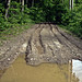Denise Rains Photo 32