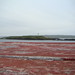 Peter Brier Photo 16