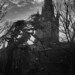 Nicholas Kirk Photo 29