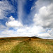 Dale Newby Photo 31