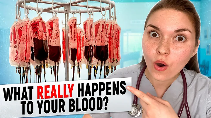 A Blood Photo 12