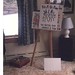 Donald Bitters Photo 19