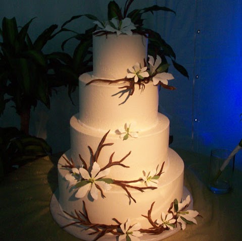 Lisa Browning Photo 9