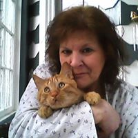 Teri Joy Photo 1