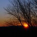 Sarah Colson Photo 42