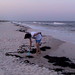 Joe Beach Photo 43