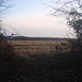 Molly Fields Photo 30