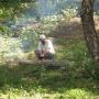 Edward Howe Photo 27