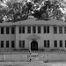 Elizabeth Towns Photo 17